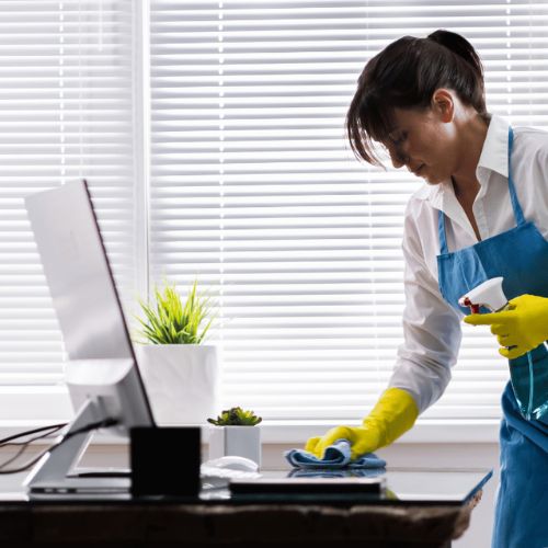 Lady Disinfecting in Anchorage, AK