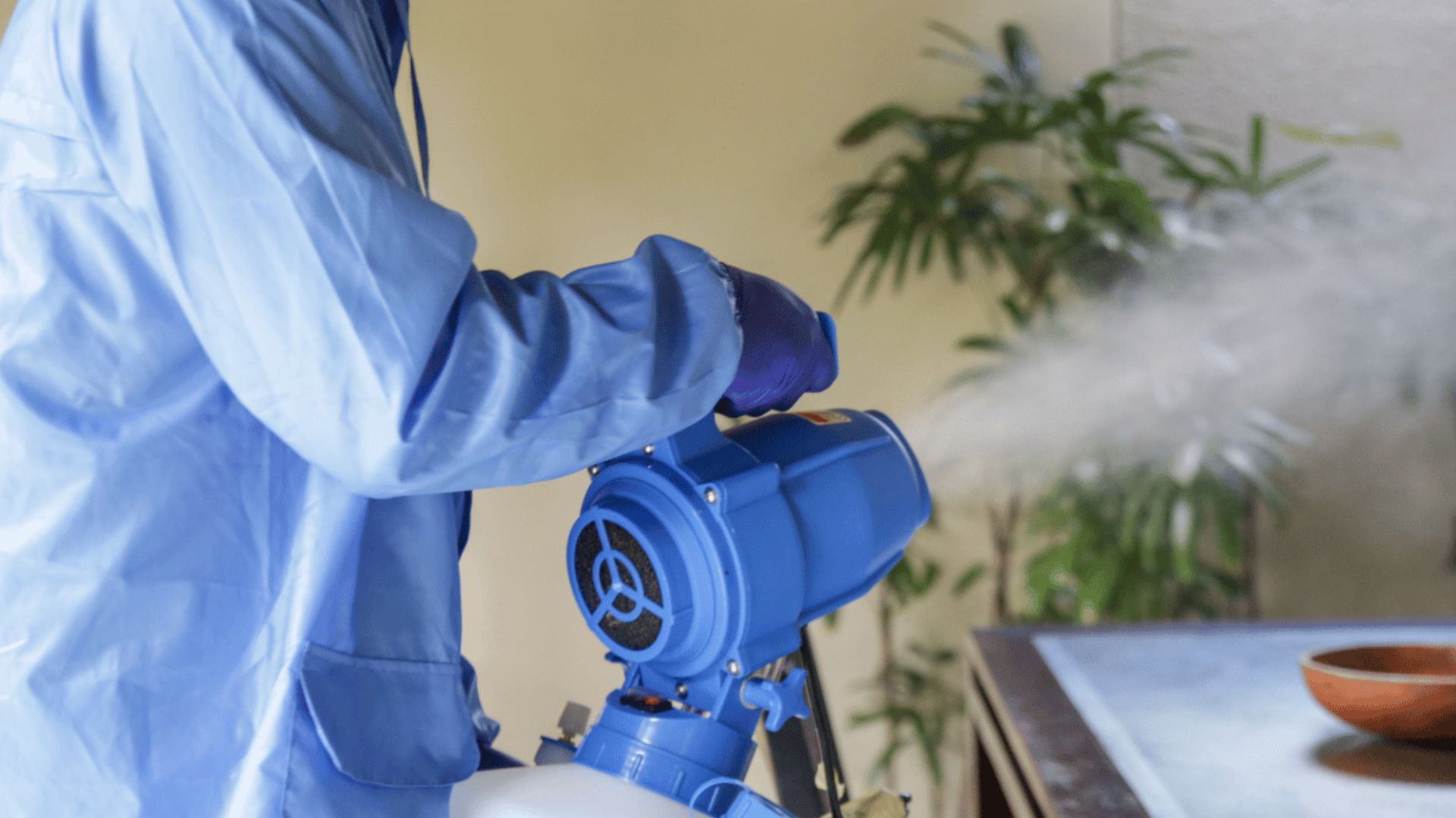 Disinfection Services in Conroe, TX