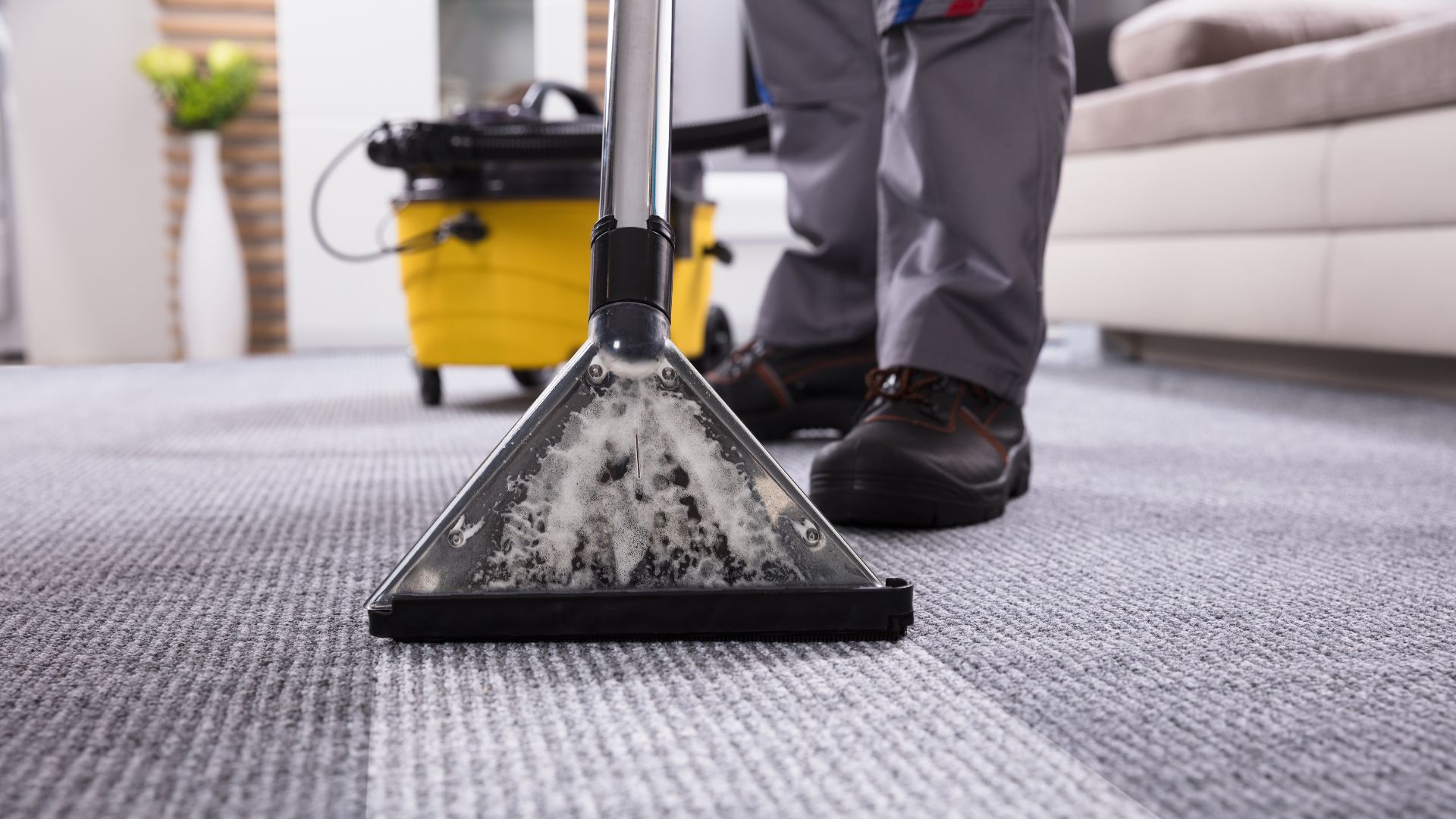 Vacuum/Carpet Cleaning in Conroe, TX