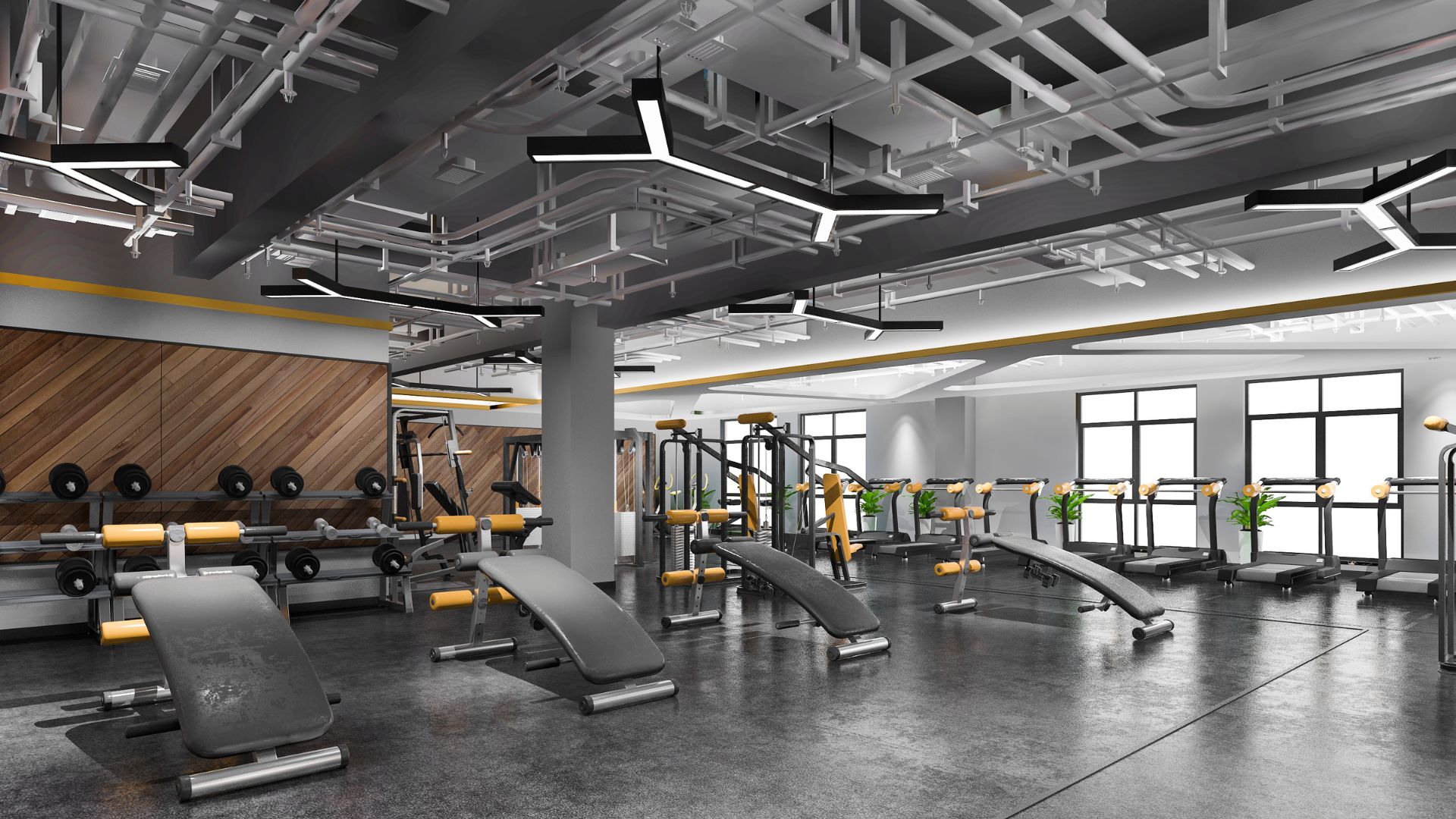 Fitness in Denver, CO