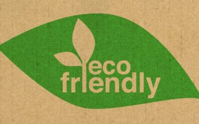 How Eco-Friendly Products Are Changing Commercial Cleaning