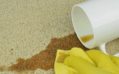 Carpet Stain Prevention Strategies for Offices