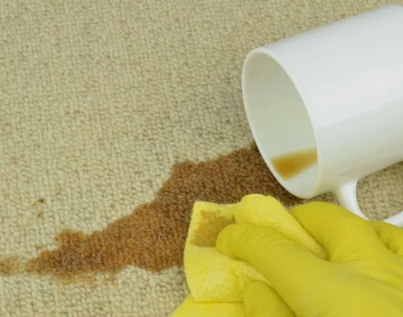 Carpet Stain Prevention Strategies for Offices