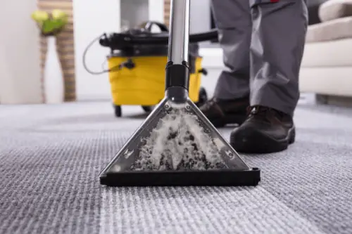 Carpet Cleaning Carpet Cleaning
