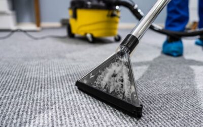 Professional Vacuuming Standards vs. Basic Cleaning